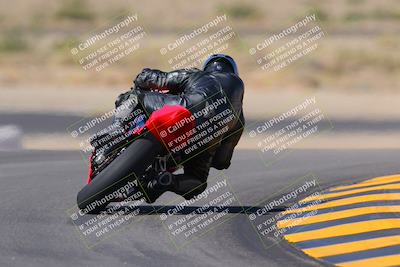 media/Oct-08-2022-SoCal Trackdays (Sat) [[1fc3beec89]]/Turn 11 Backside (1145am)/